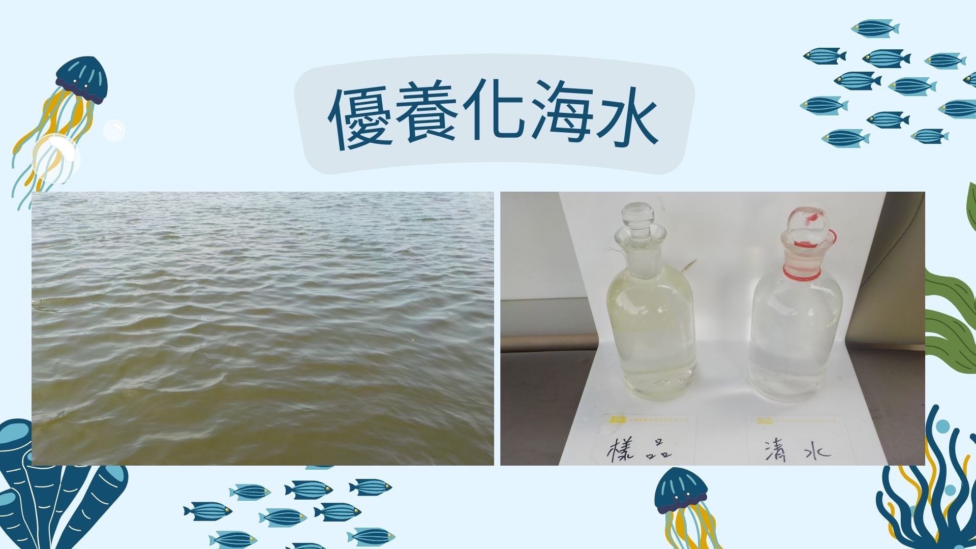 什麼是海洋優養化_2