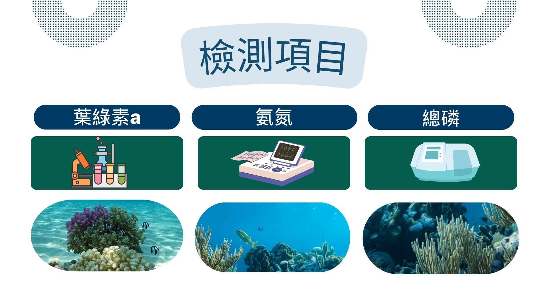 什麼是海洋優養化_3