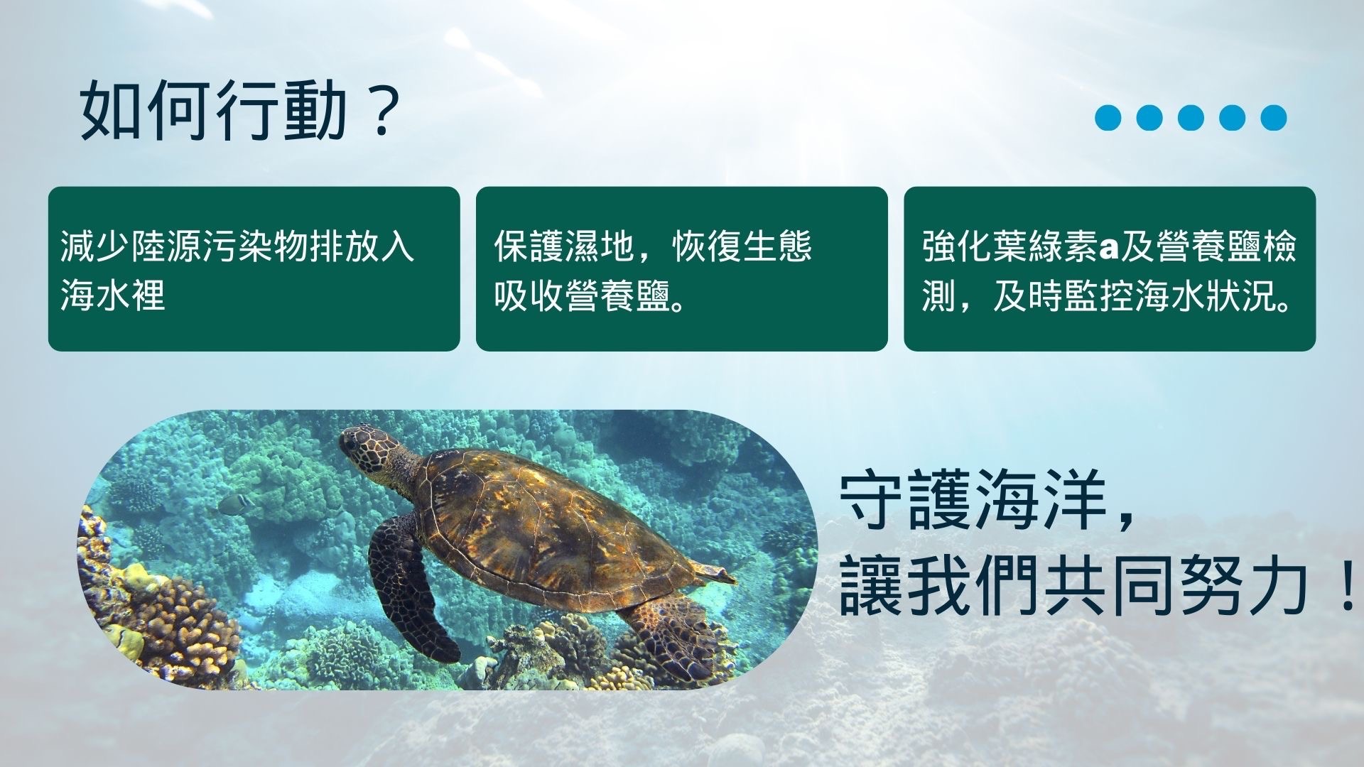 什麼是海洋優養化_4