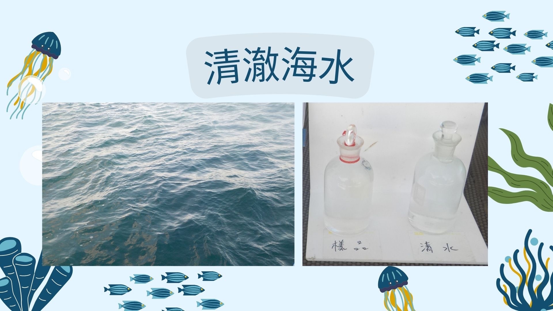 什麼是海洋優養化_5