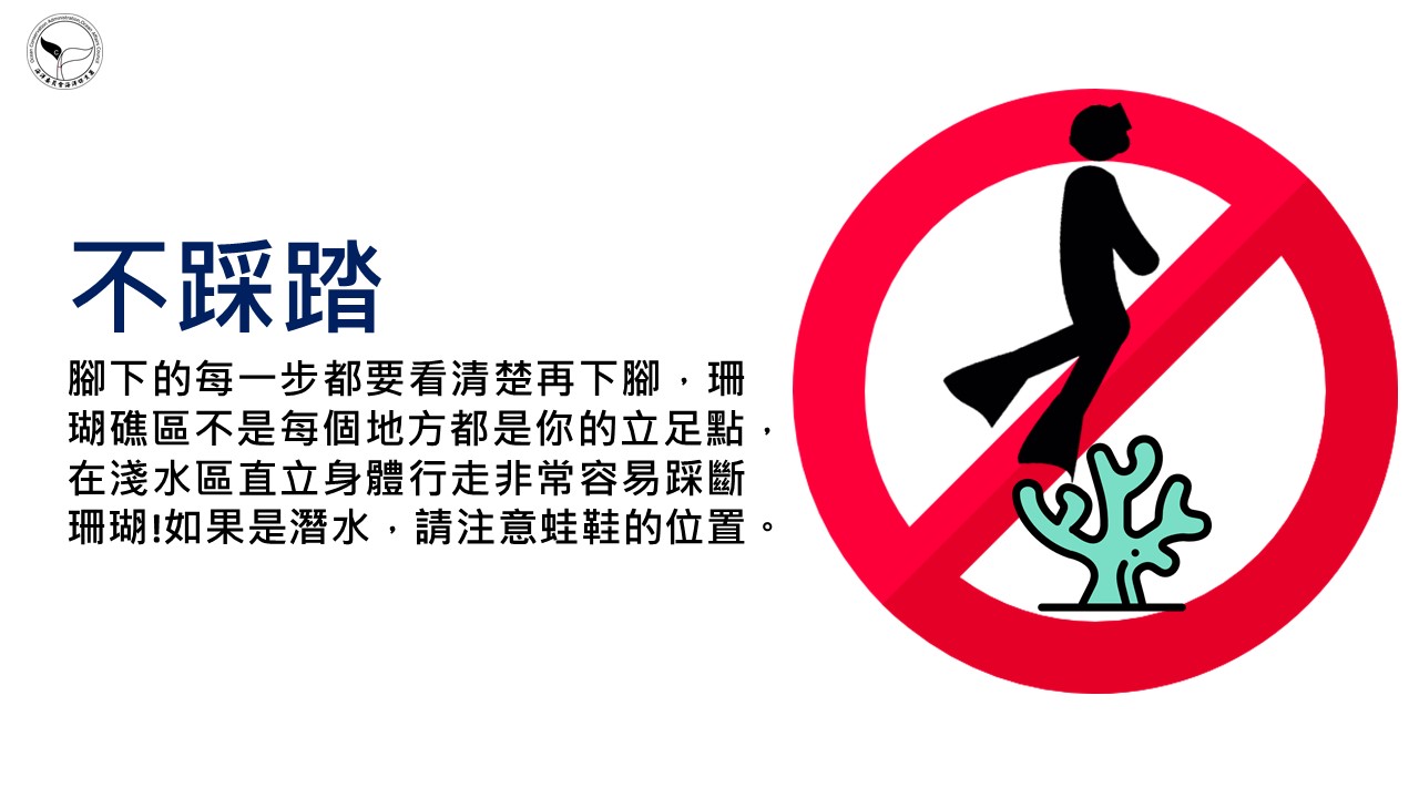 珊瑚礁的秘密守則示意圖