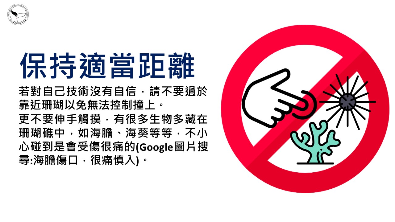 珊瑚礁的秘密守則示意圖