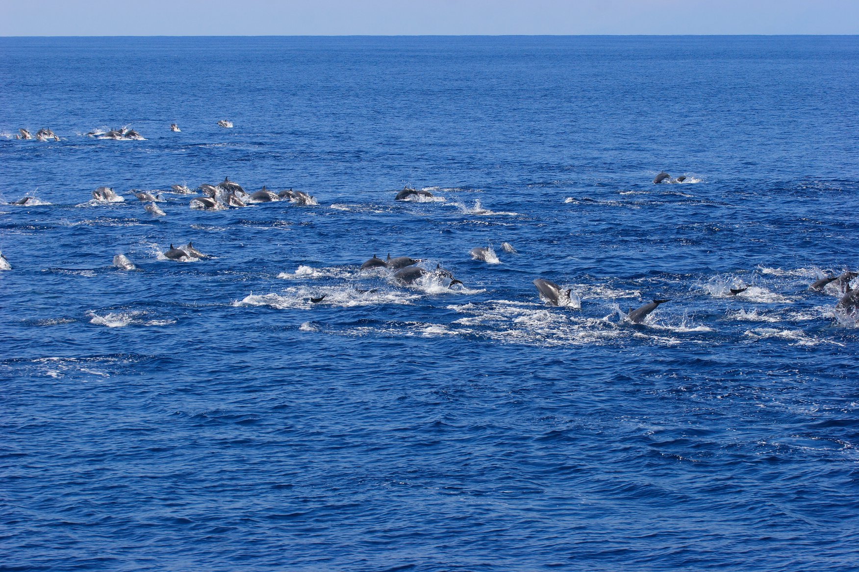 海廢行動計劃-國際新知_1