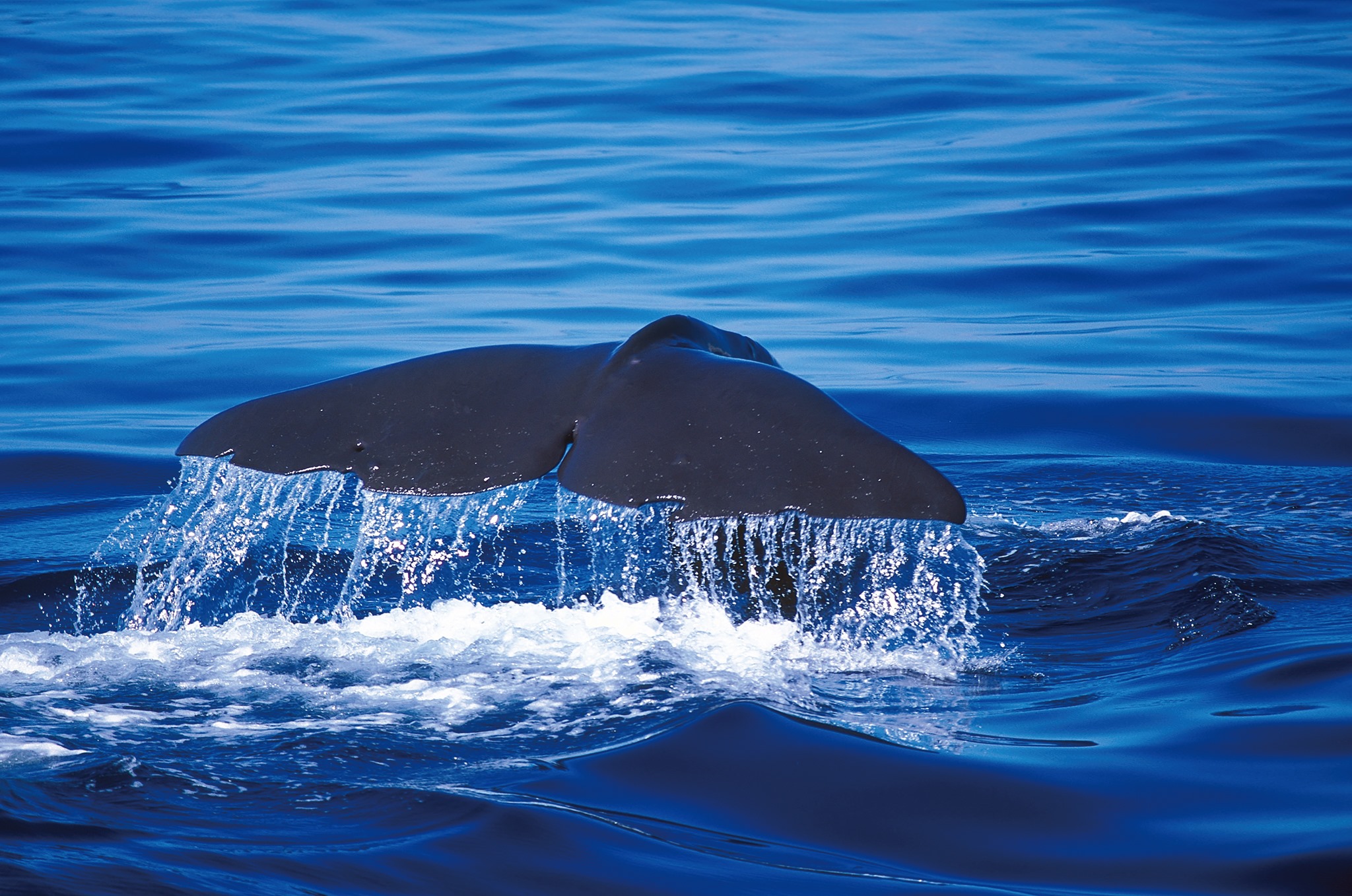 海廢行動計劃-國際新知_2