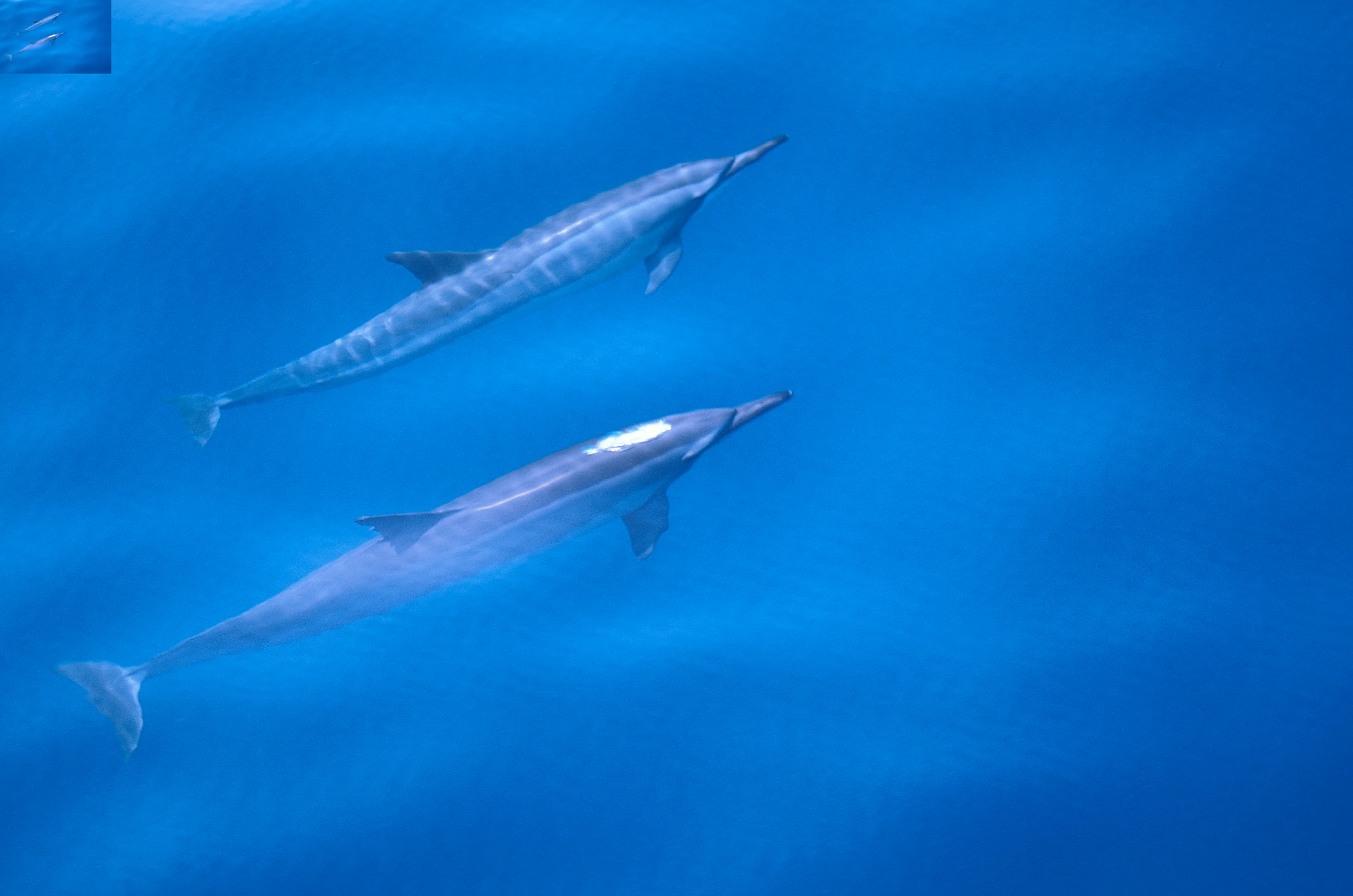 海廢行動計劃-國際新知_4