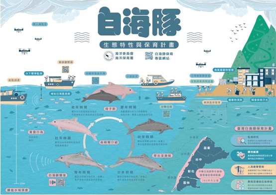 白海豚的秘密基地2