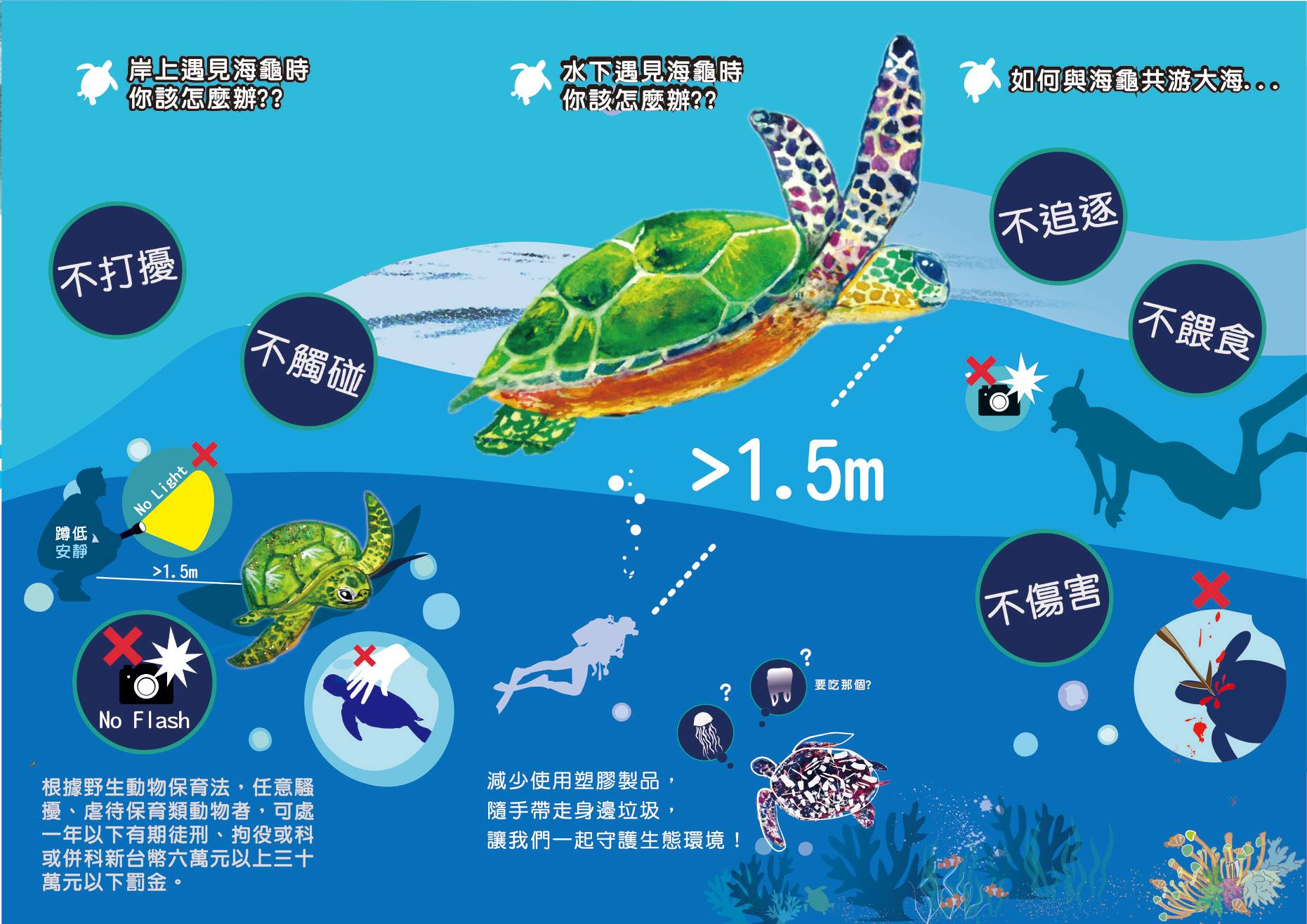 臺灣常見的海龜辨識與友善賞龜5不原則-2