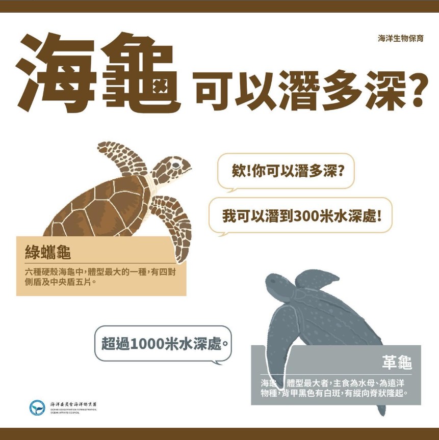 海龜可以潛多深