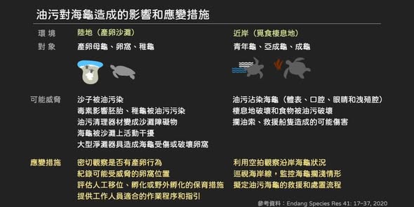 油污海龜的處理流程-2