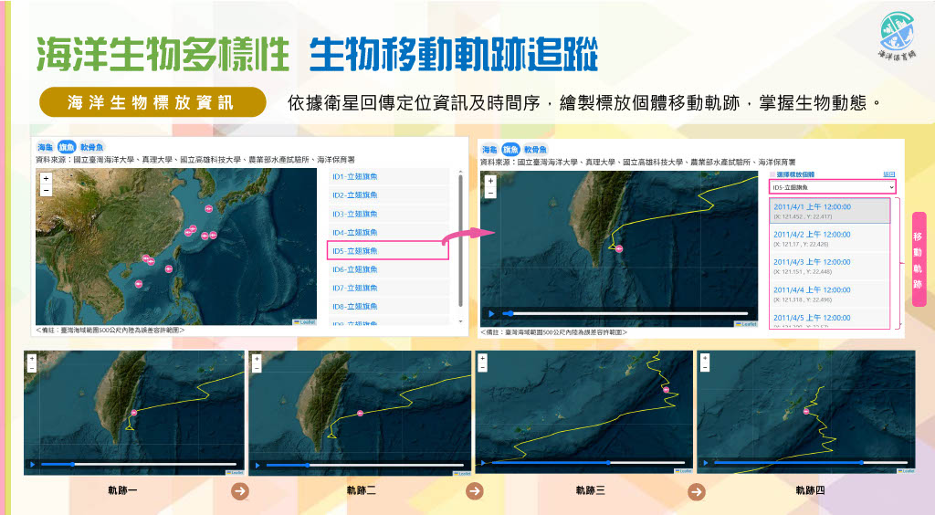 生物移動軌跡追蹤，依衛星標放定位資訊與時間序，於地圖繪製海龜、旗魚等標放個體的移動軌跡